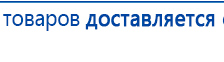 СКЭНАР-1-НТ (исполнение 01 VO) Скэнар Мастер купить в Сысерти, Аппараты Скэнар купить в Сысерти, Медицинский интернет магазин - denaskardio.ru