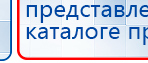 СКЭНАР-1-НТ (исполнение 02.1) Скэнар Про Плюс купить в Сысерти, Аппараты Скэнар купить в Сысерти, Медицинский интернет магазин - denaskardio.ru